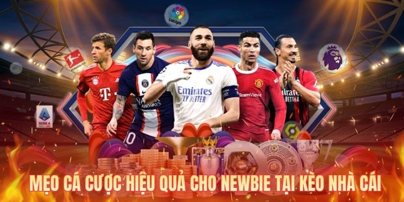 Mẹo cá cược hiệu quả cho newbie tại kèo nhà cái